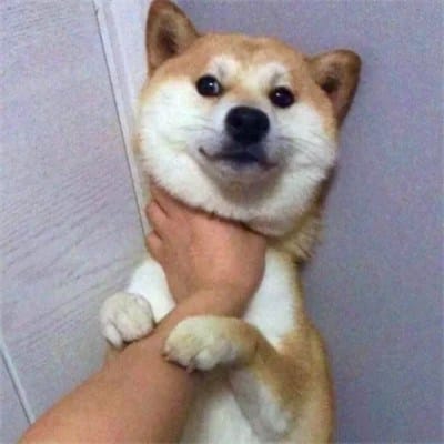 Trần Minh Quân avatar